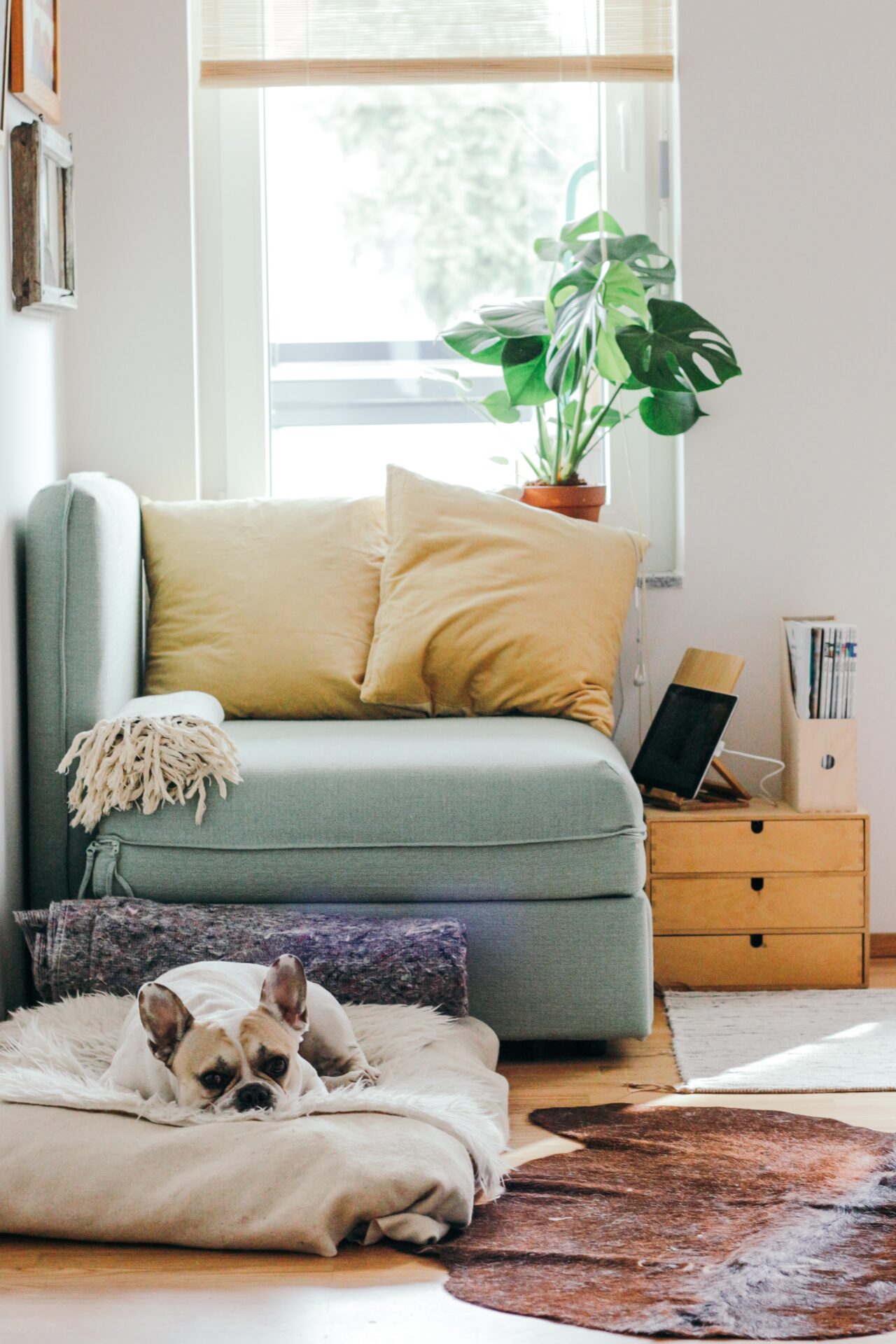 10 Things to Do for Fun at Home