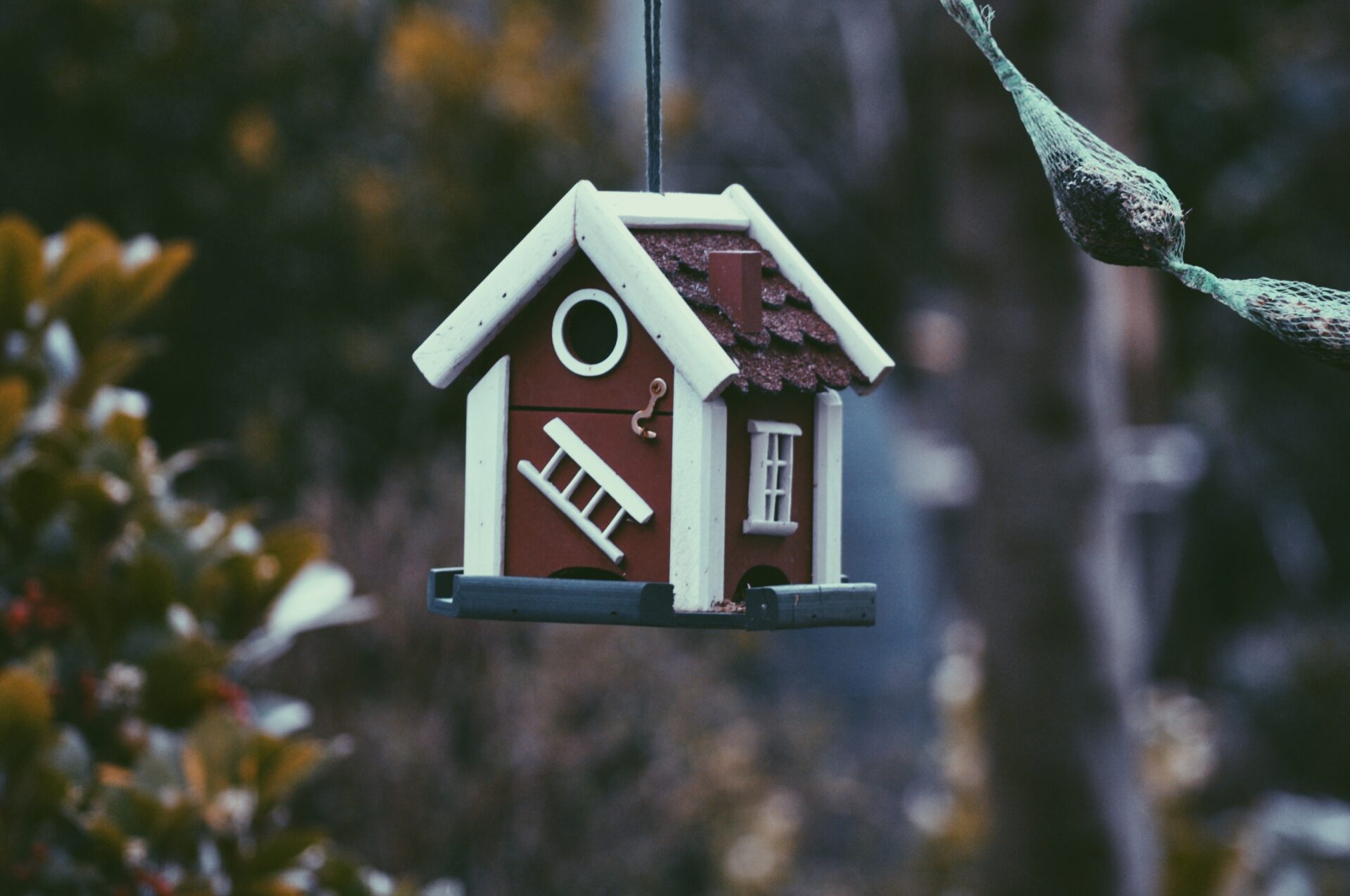 Considering whether to sell your investment property or engage a property manager?