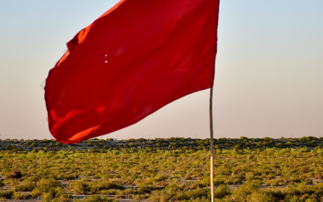 Recognizing Warning Signs: A Detailed Manual for Evaluating Tenant Applications in the San Francisco Bay Area.