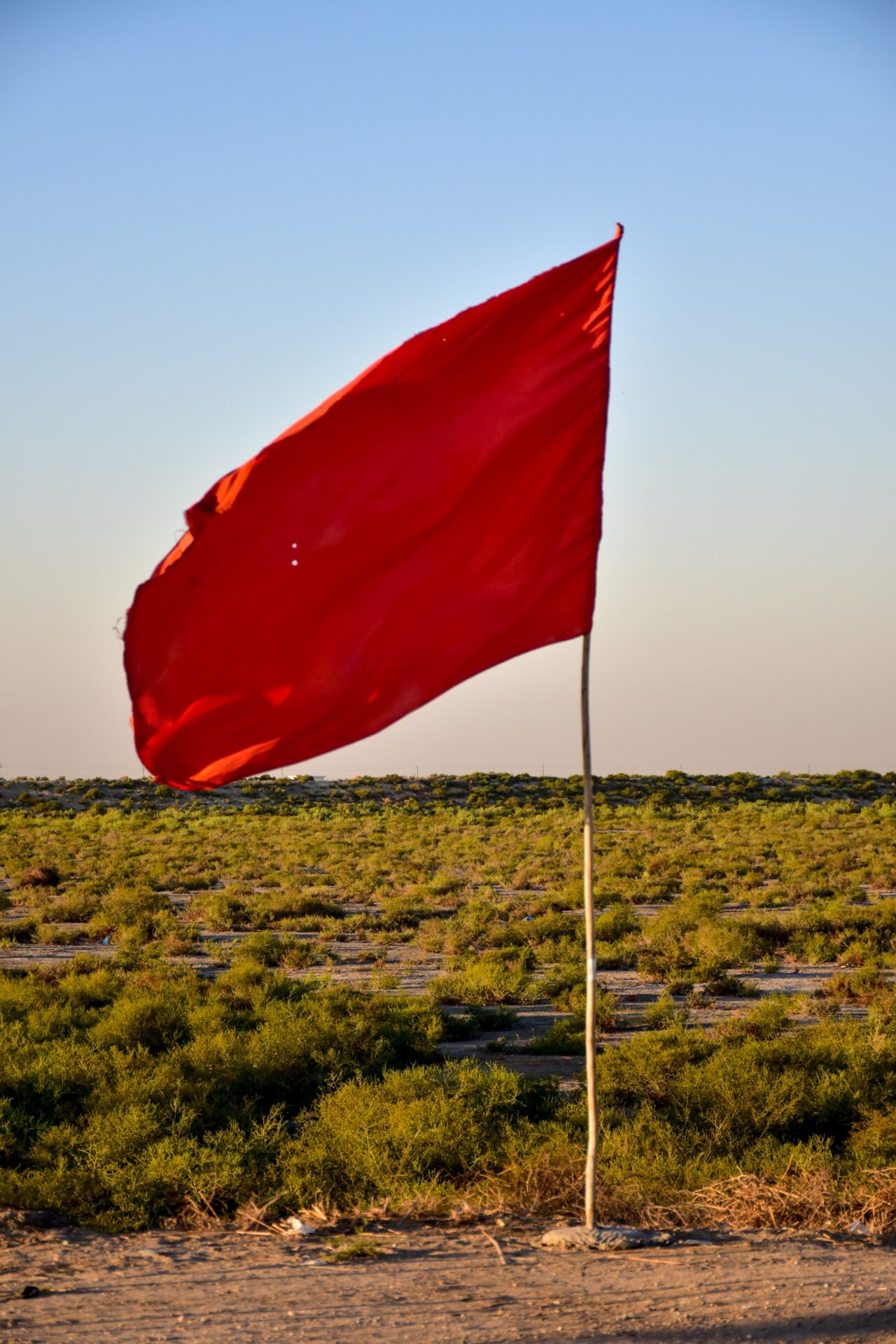 Recognizing Warning Signs: A Detailed Manual for Evaluating Tenant Applications in the San Francisco Bay Area.