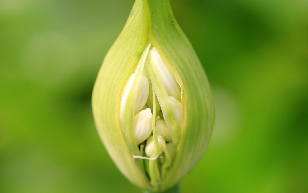 Essential Factors for Property Owners in the San Francisco Bay Area to Consider When Expanding Their Small Business