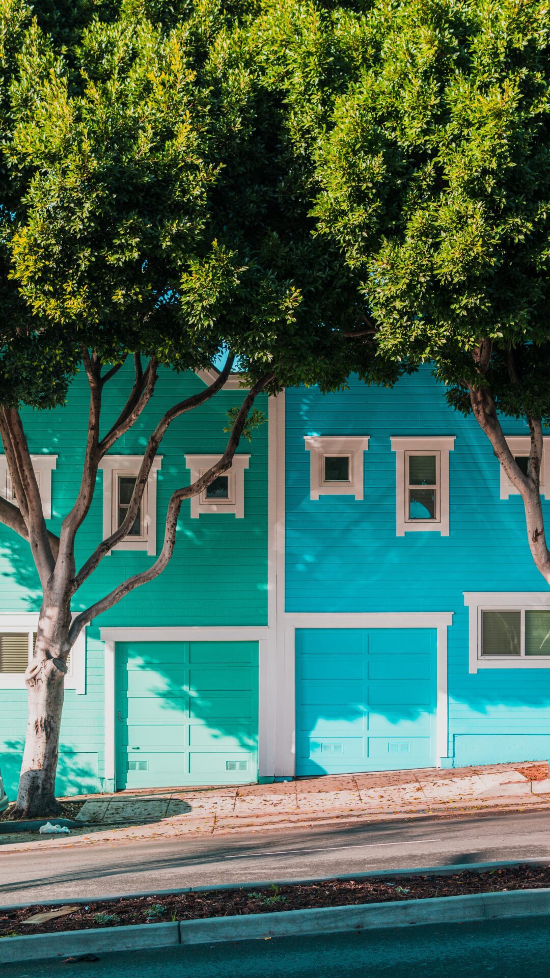 Renovating in the Heart of History: A Guide for San Francisco Homeowners